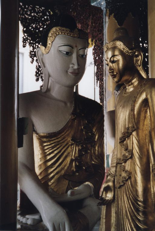 Album - Photos  : Buddhas Collector