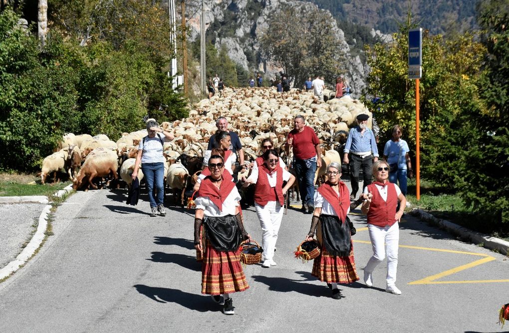 TRANSHUMANCE DANS LES ALPES MARITIMES (2)