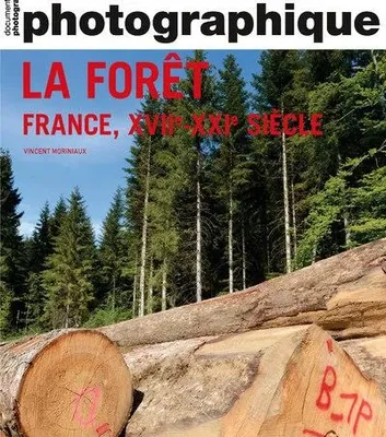La Documentation photographique N° 8150/2023 "La forêt - France, XVII-XXIe siècle" de Vincent Moriniaux