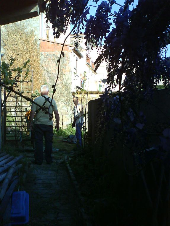 la nouvelle vie du jardin en avril 2011