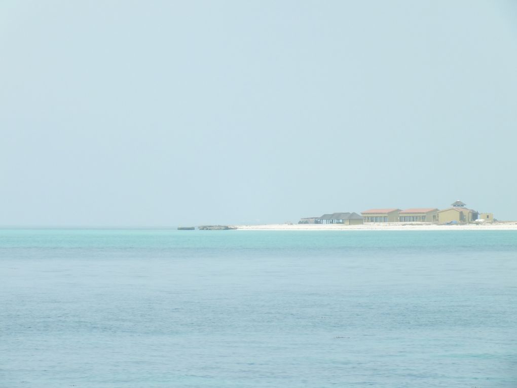 journée de repos sur l'île de Moucha!!! une eau turquoise de pure beautée!