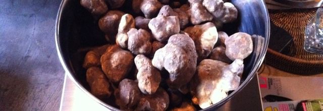 TRUFFE BLANCHE D'ALBA !!