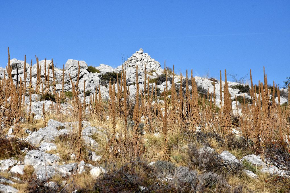 DU CASTELLARAS A LA MARBRIERE UNE RANDO DECOUVERTE