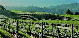 #Rose Sparkling Wines Producers Mendocino Valley California Vineyards 
