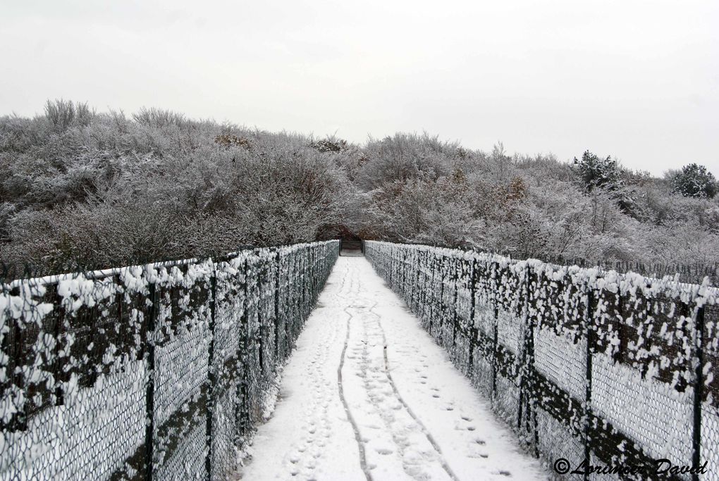 reportage photo de la neige tomber sur le nord cotentin le 27 novembre
2010