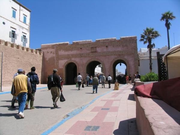 quelques 106 photos d'Essaouira, de son port, de ses mouettes et de ses chats plus ou moins mités