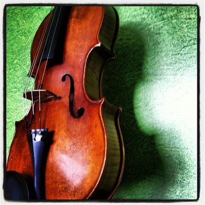 La Butxaca de la Viola