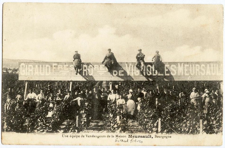 Des hommes et une terre: Le Meursault-Poruzot