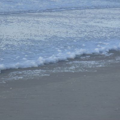 Quelques nouvelles ... les pieds dans l'eau !