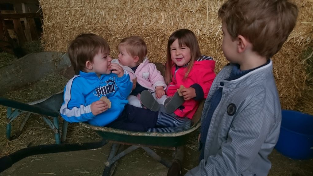 Visite à la Ferme de l'Hort