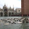 Si l'acqua alta n'inondait Venise...