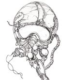 Le Blog de Nicolas Mitzalis