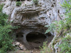 Septembre sur le causse Mejean