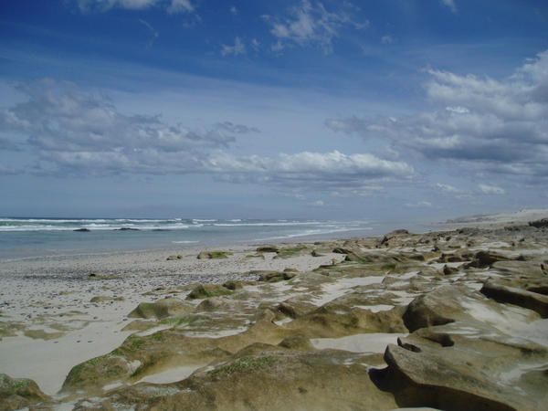 Album - De Hoop Nature Reserve