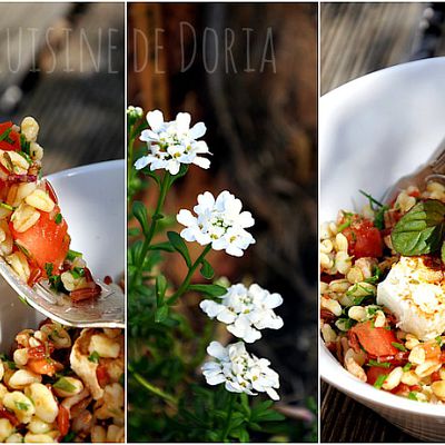 Salade de céréales aux herbes fraîches du jardin 