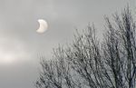 Le soleil a rendez-vous avec la lune - Trenet