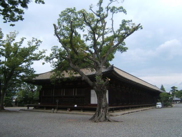 Album - 2008 u kyoto-jour-1