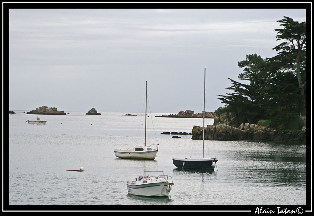 Album - île-de-Bréhat