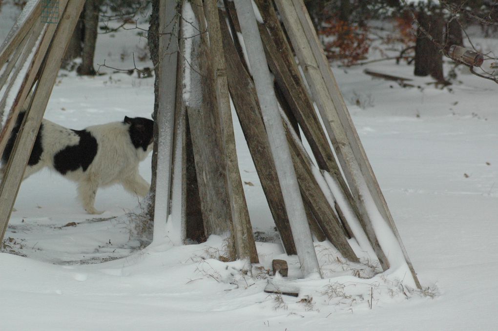 JEUX dans la neige