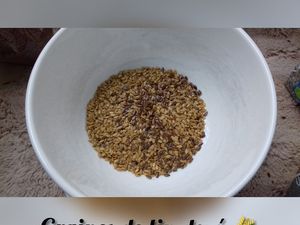 Gel aux 3 graines pour les cheveux  (lin, chia, cresson )