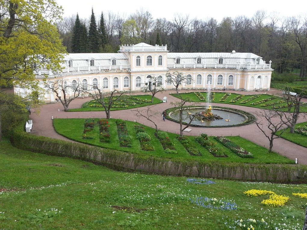 Le palais de Peterhof 