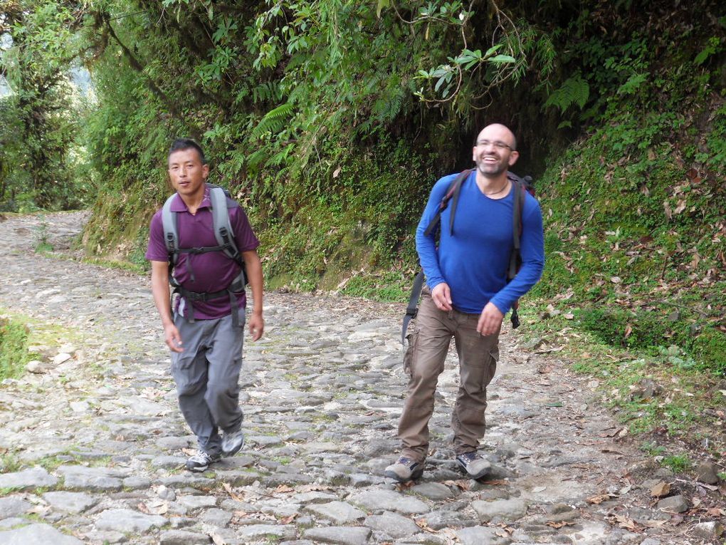 Trek jusqu'à admirer le Kangjenjunga, 3ème plus haut sommet du monde au soleil couchant et au petit matin