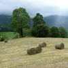 l'été dans le bearn