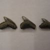 Quelques dents de requins miocènes-pliocènes difficiles à distinguer