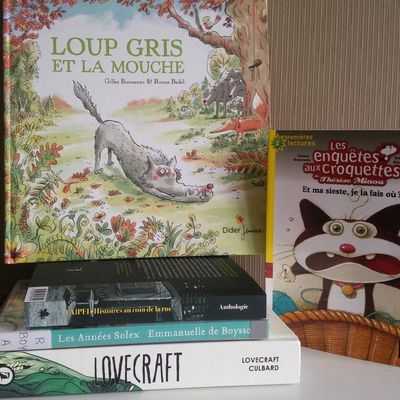 Mes idées de lecture - Chapitre 2