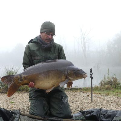 Carpe cuir de 20 kg (2016)