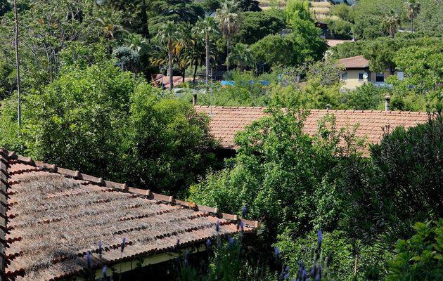 Gli spiccioli di un provinciale