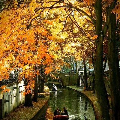 Nature - Canal - Feuillage - Automne - Picture - Free
