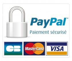 Paypal et les autres plate-formes de paiement sécurisés