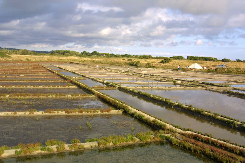 Images des marais salants de Gu&eacute;rande&nbsp;au lever du soleil