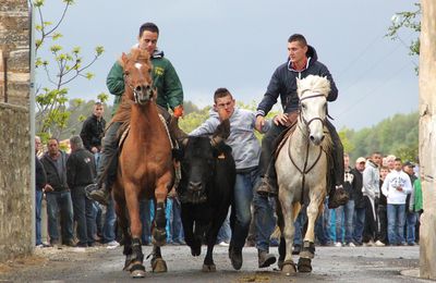 Castelnau-valence 21.04.12