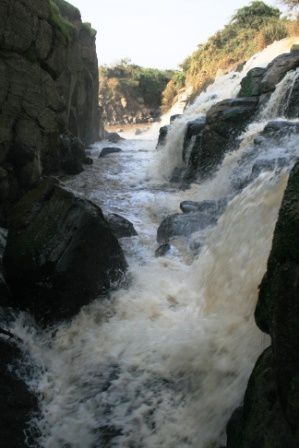 Awash National Park, Rift Valley, East Ethiopia. Fauna and Flora around the park and the Awash river.