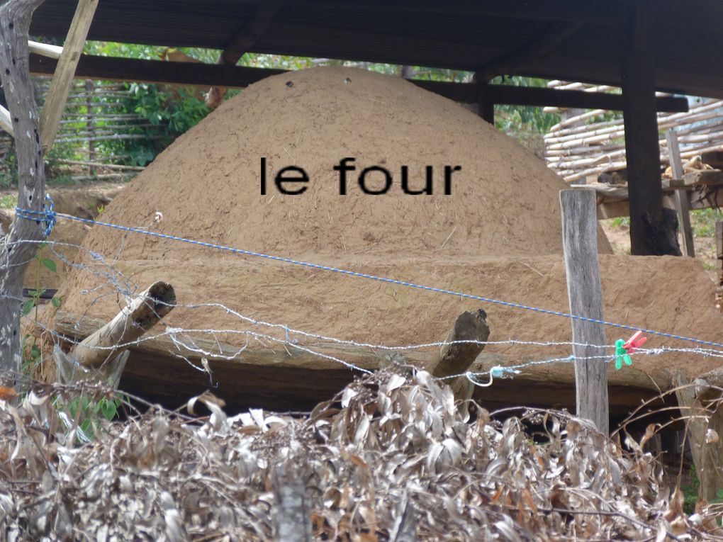 Parc des fougères géantes
El Fuerte, la plus grande pierre sculptée du monde
Cascades "las Cuevas"