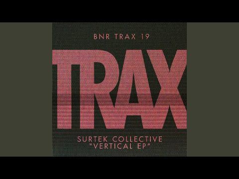 Shakers (110% Mix) - Surtek Collective