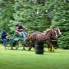 Cheval breton. Un concours intercantonal samedi