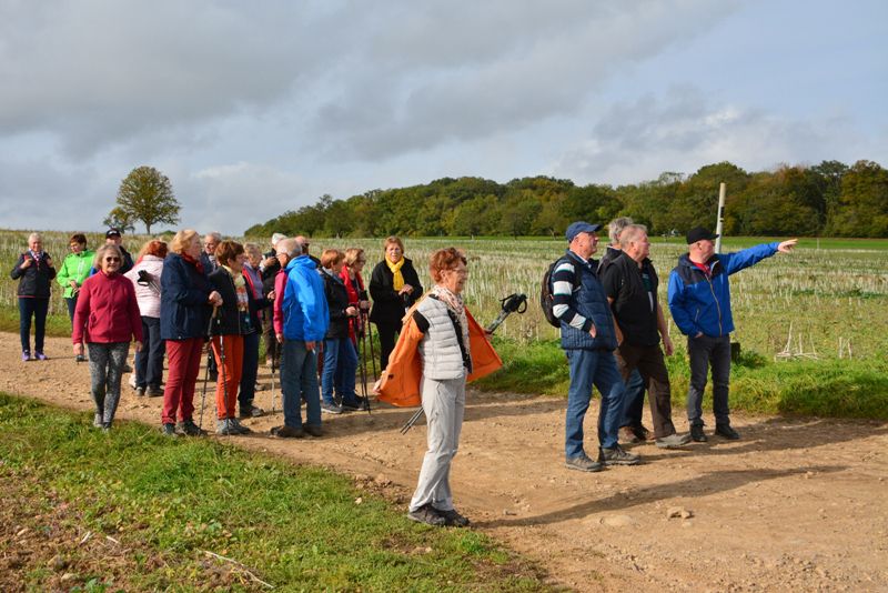 Marche circuit Xaintois du 6 Octobre 2022