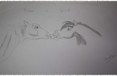 Dessins.... de chevaux