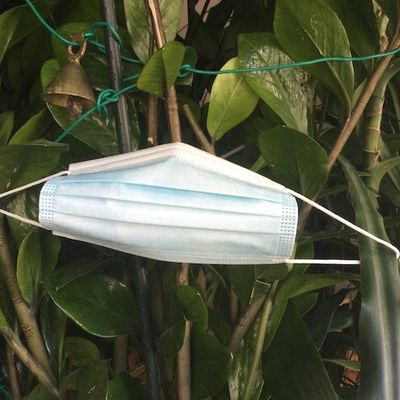 Alors que nous vivons dans un reconfinement contraint, comment, à la lumière de l’Évangile, voyons-nous l’avenir ? Quelle vie en Église ?