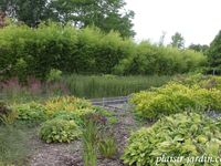Visite des jardins du Colysée