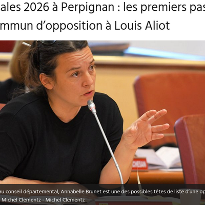 Perpignan: l'opposision se réveille contre Louis Aliot, pour le débarquement électif de 2026! par Nicolas Caudeville