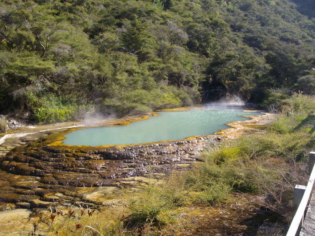 Waimangu, entre Rotorua et Taupo, vallée géothermale.