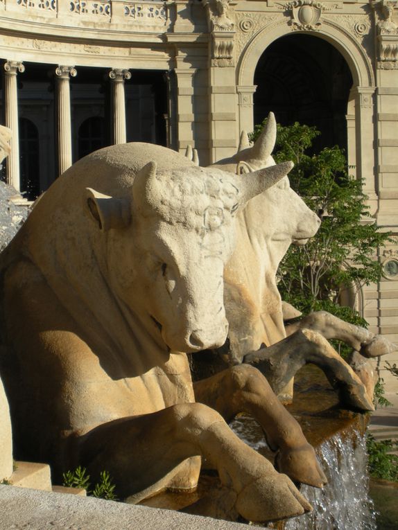 Quelques photos que j'ai pris à marseille
Laissez moi votre avis.