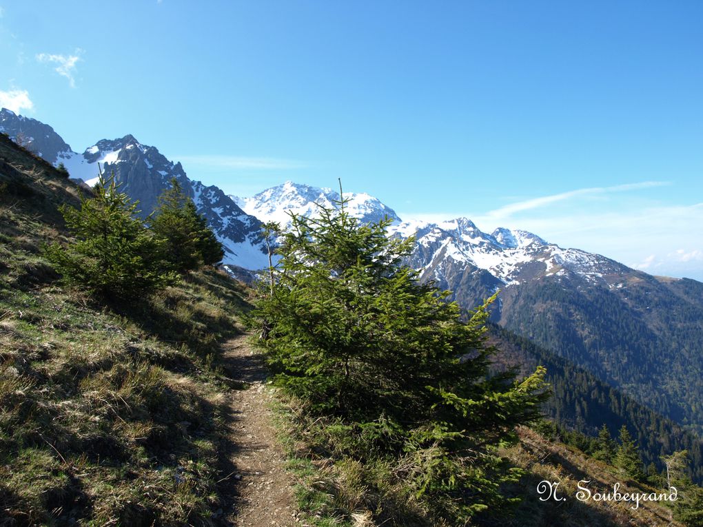 Album - Paysages-du-Dauphine