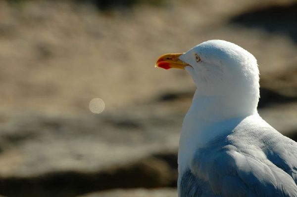 Photographies Christian Beaudin