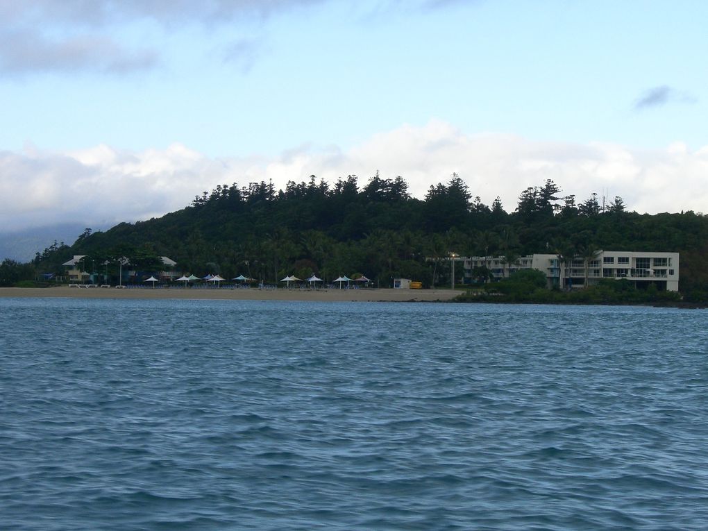 Album - Whitsunday Dive Adventure