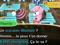 Cinquième journée